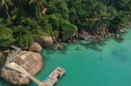 aerial-view-of-green-body-of-water.jpg aerial view of green body of water